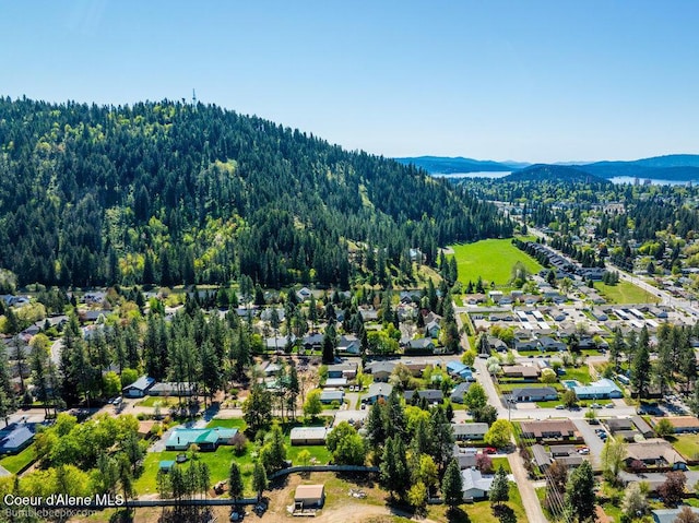 2757 N White Pines Dr, Coeur Dalene, ID 83814 - photo 55