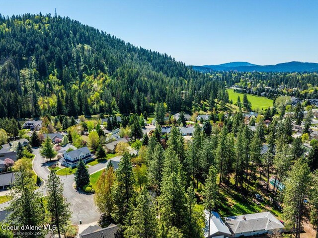 2757 N White Pines Dr, Coeur Dalene, ID 83814 - photo 57