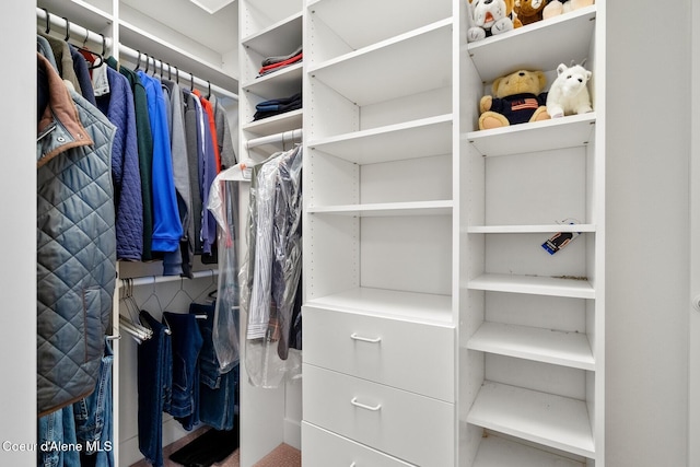 5006 S Brentwood Ln, Coeur Dalene, ID 83814 - view of spacious closet