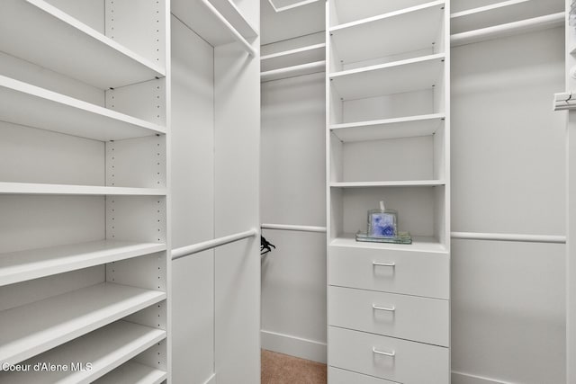 5006 S Brentwood Ln, Coeur Dalene, ID 83814 - walk in closet featuring carpet flooring