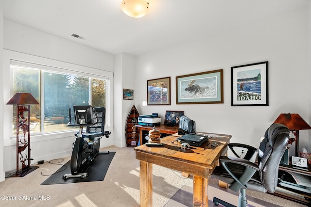 5006 S Brentwood Ln, Coeur Dalene, ID 83814 - home office featuring light carpet, a healthy amount of sunlight, baseboards, and visible vents
