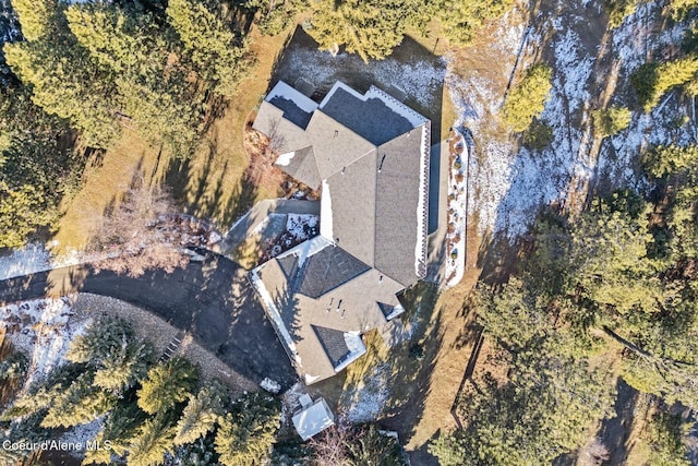 5006 S Brentwood Ln, Coeur Dalene, ID 83814 - drone / aerial view