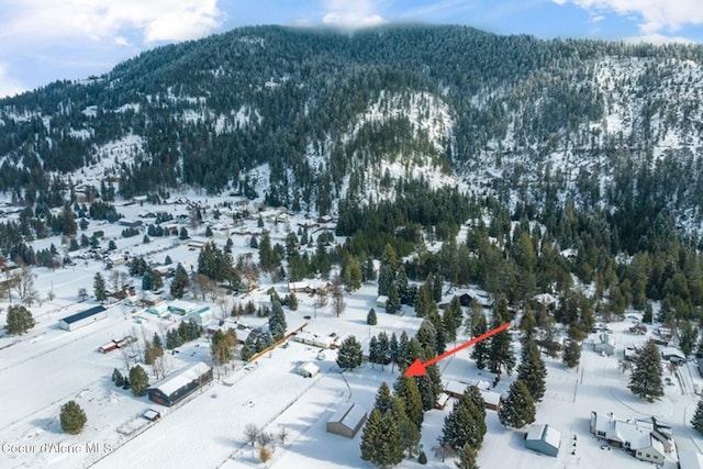 snowy aerial view featuring a mountain view