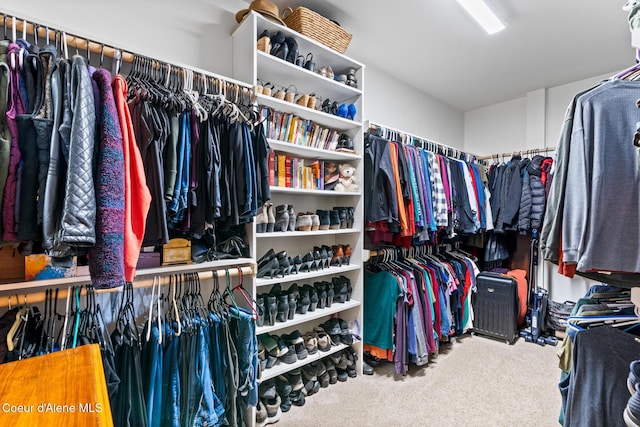 walk in closet featuring carpet floors