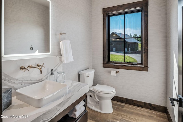 bathroom featuring a sink, toilet, and wood finished floors