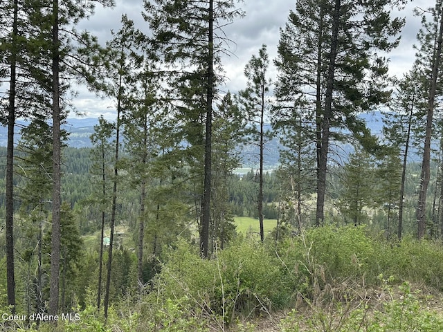 1600 Patches Ln, Saint Maries, ID 83861 - view of tree filled area