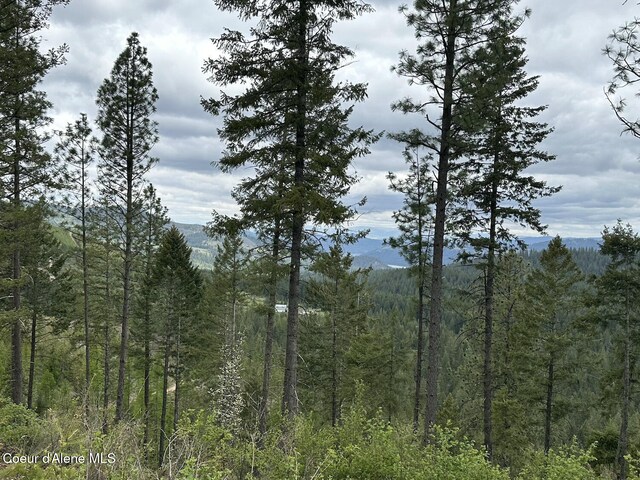 1600 Patches Ln, Saint Maries, ID 83861 - mountain view with a forest