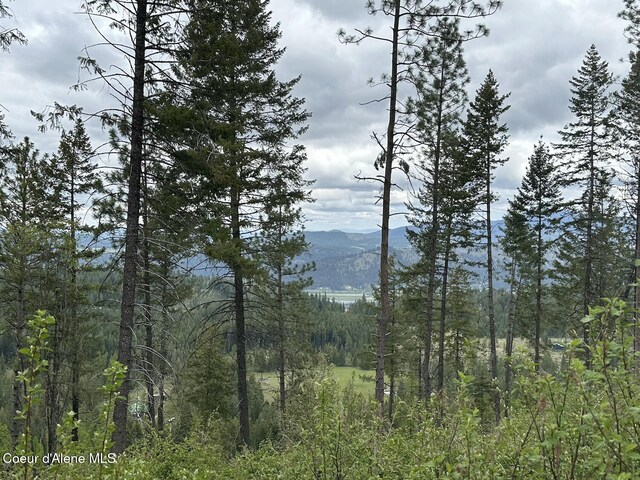 1600 Patches Ln, Saint Maries, ID 83861 - view of mountain backdrop featuring a heavily wooded area
