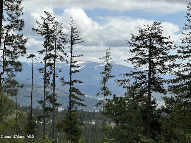 1600 Patches Ln, Saint Maries, ID 83861 - view of mountain backdrop featuring a forest
