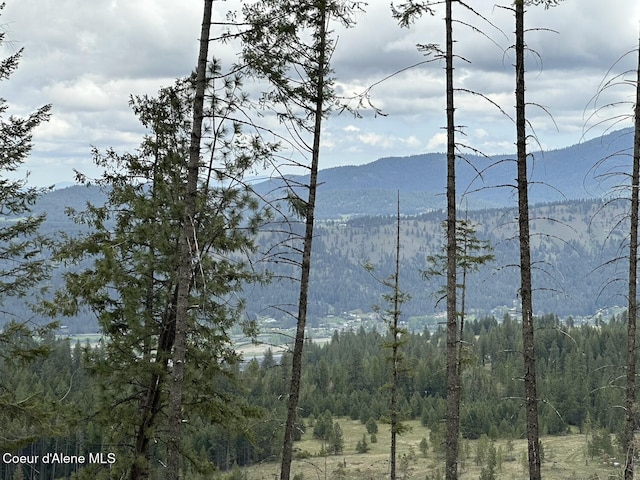 1600 Patches Ln, Saint Maries, ID 83861 - view of mountain backdrop featuring a heavily wooded area