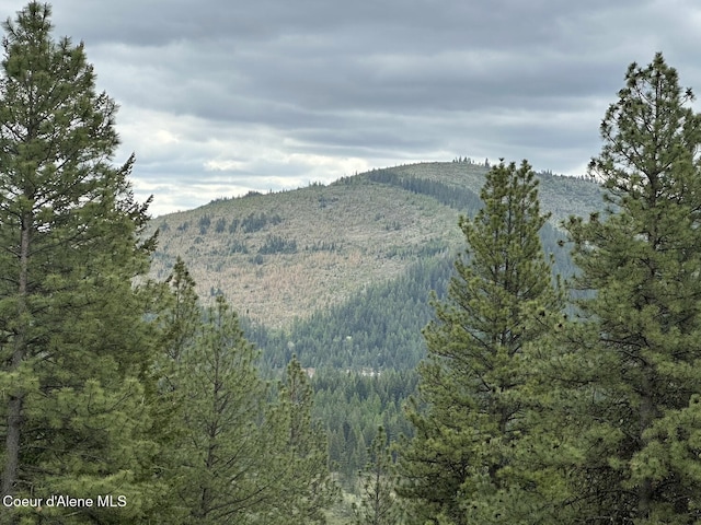1600 Patches Ln, Saint Maries, ID 83861 - view of mountain backdrop featuring a forest