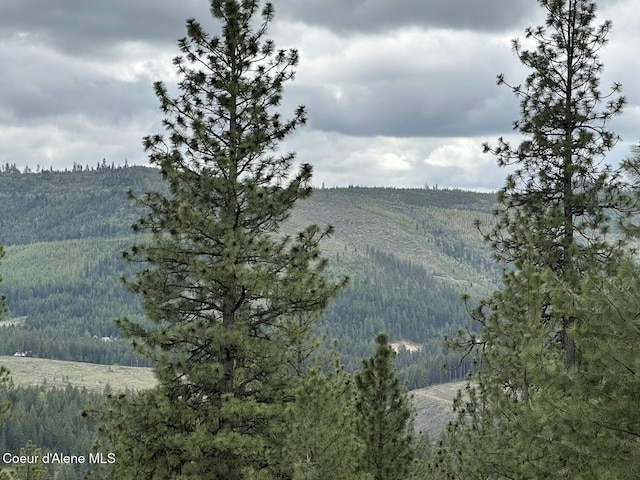 1600 Patches Ln, Saint Maries, ID 83861 - water view featuring a heavily wooded area