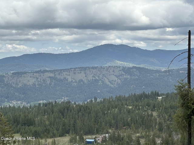 1600 Patches Ln, Saint Maries, ID 83861 - view of mountain background with a heavily wooded area