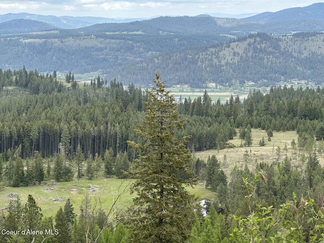 1600 Patches Ln, Saint Maries, ID 83861 - mountain view with a heavily wooded area