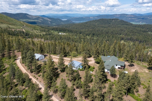 1600 Patches Ln, Saint Maries, ID 83861 - bird's eye view of a forest and mountains