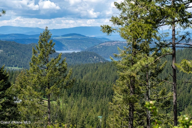 1600 Patches Ln, Saint Maries, ID 83861 - view of mountain backdrop featuring a forest