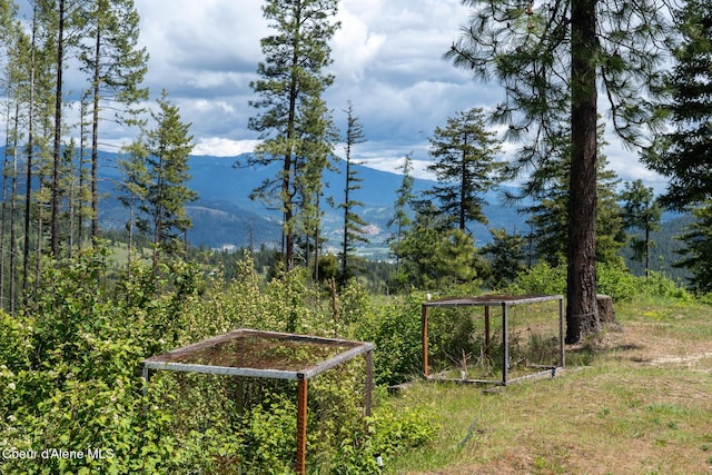 1600 Patches Ln, Saint Maries, ID 83861 - view of mountain background featuring a forest