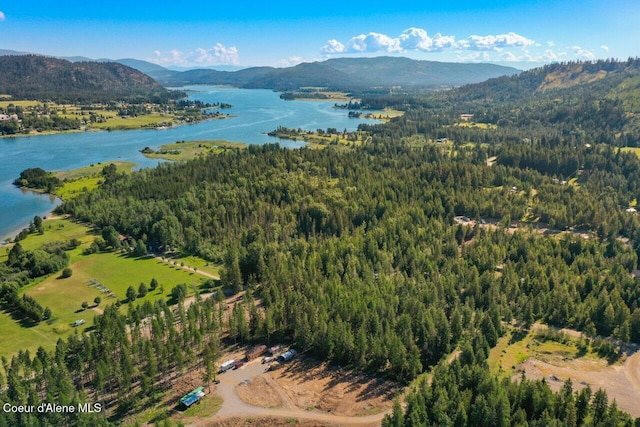 birds eye view of property with a view of trees and a water and mountain view