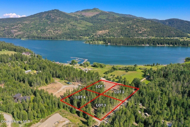 drone / aerial view featuring a forest view and a water and mountain view