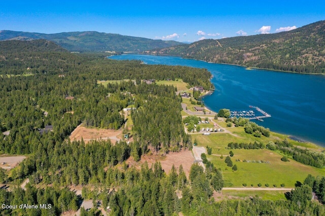 aerial view featuring a view of trees and a water and mountain view