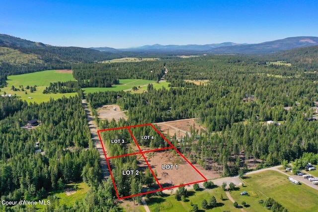 aerial view with a forest view and a mountain view