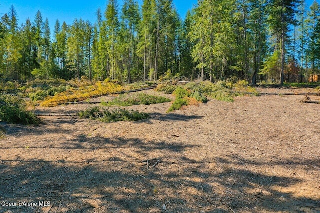 view of local wilderness