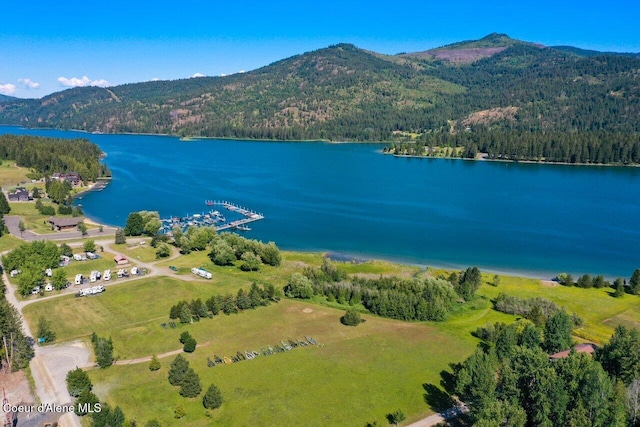 drone / aerial view with a view of trees and a water and mountain view