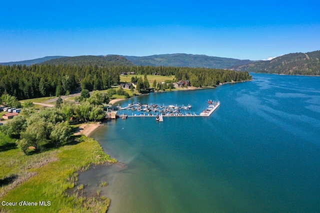 bird's eye view with a view of trees and a water and mountain view