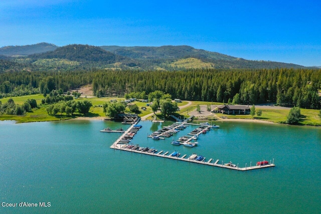 bird's eye view with a view of trees and a water and mountain view