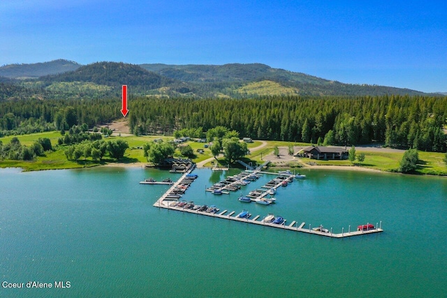 drone / aerial view featuring a wooded view and a water and mountain view