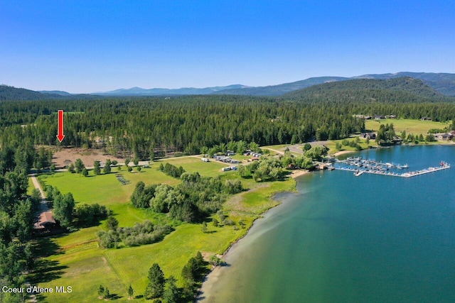 drone / aerial view featuring a wooded view and a water and mountain view