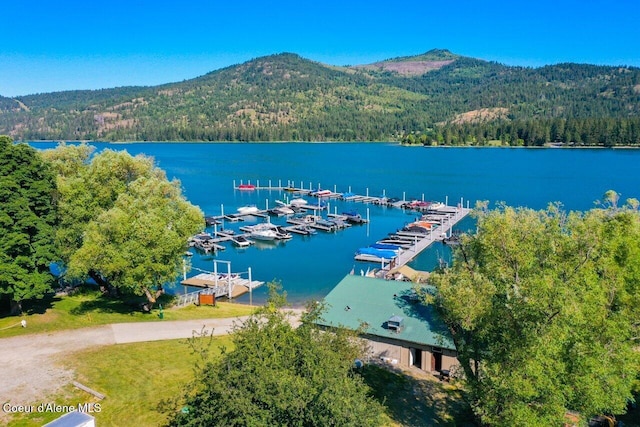 birds eye view of property with a wooded view and a water and mountain view