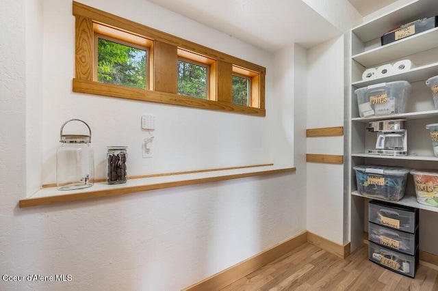 spacious closet featuring wood finished floors