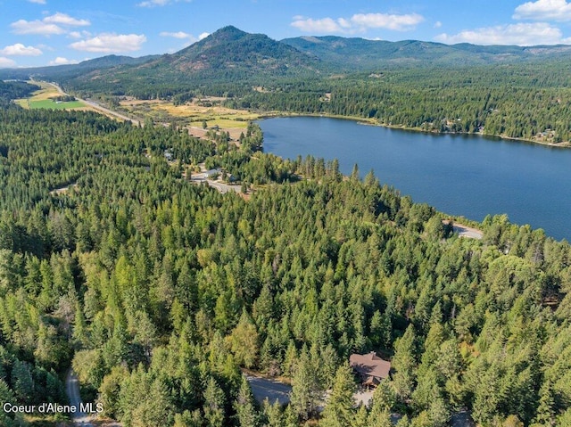 aerial view featuring a forest view and a water and mountain view