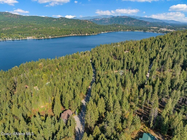 drone / aerial view with a forest view and a water and mountain view