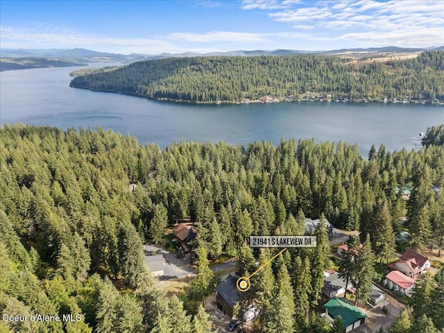 aerial view featuring a water and mountain view and a view of trees