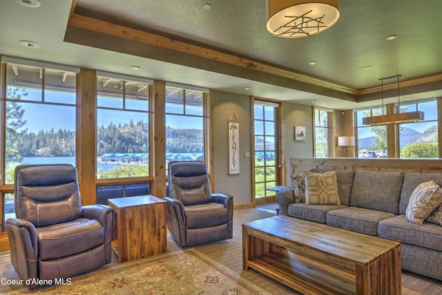 living area featuring a raised ceiling and baseboards