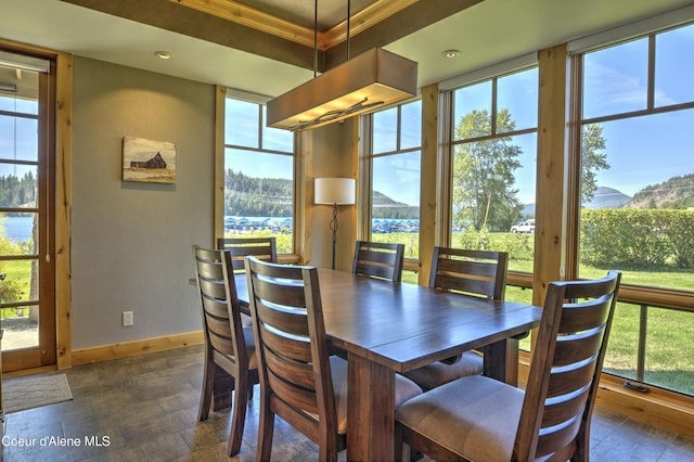 dining area with baseboards and ornamental molding