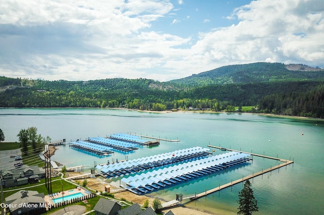 bird's eye view with a water view and a view of trees