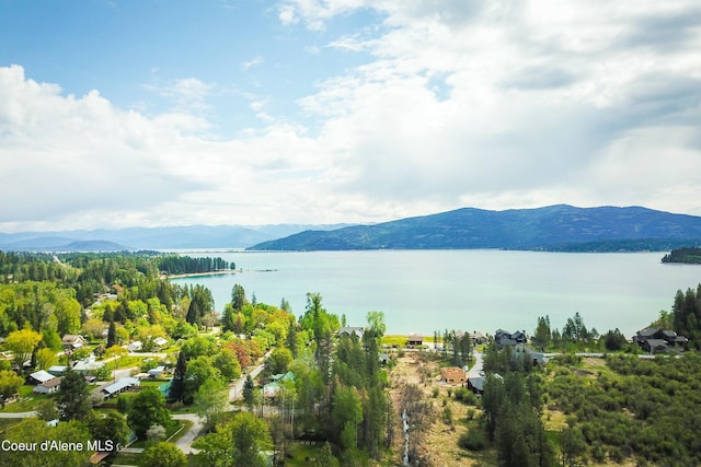 water view featuring a mountain view