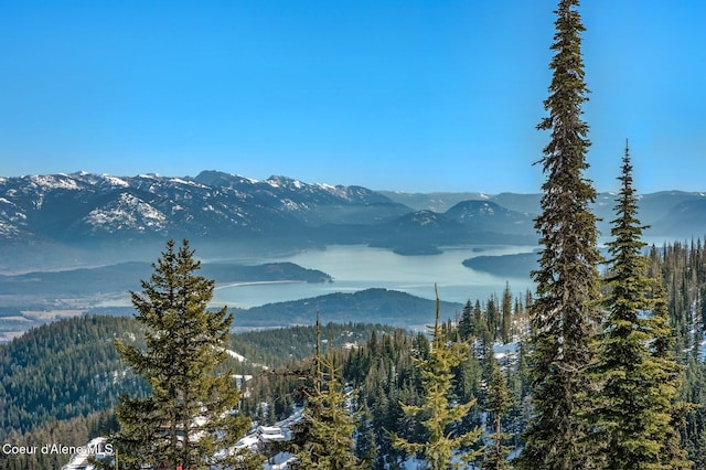 mountain view with a forest view