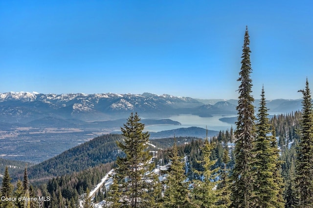 property view of mountains featuring a wooded view