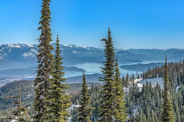 view of mountain feature with a forest view