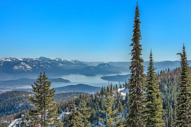 mountain view with a view of trees