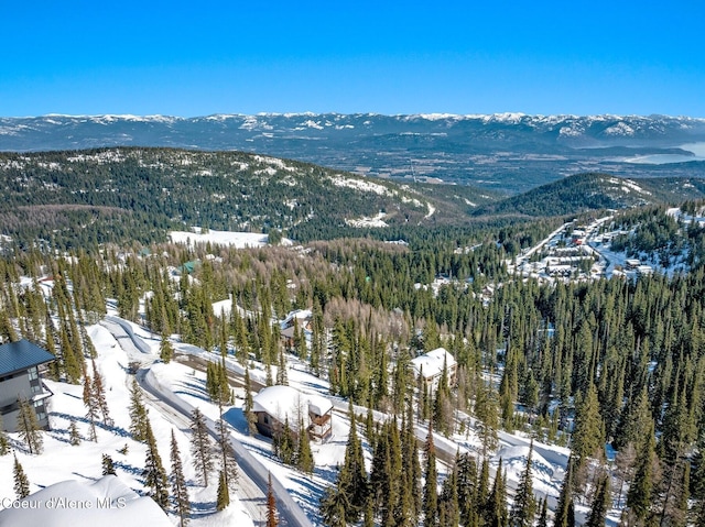 view of mountain feature featuring a view of trees