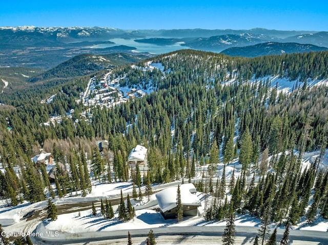 snowy aerial view with a forest view and a mountain view