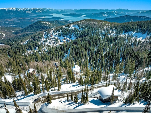 snowy aerial view with a mountain view and a wooded view