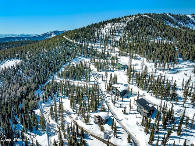 snowy aerial view with a mountain view