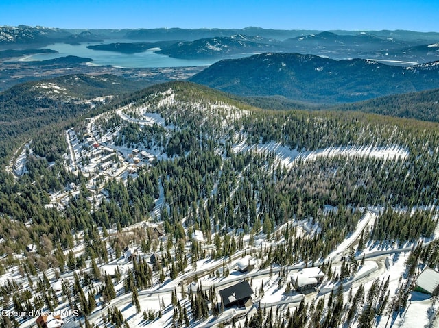 snowy aerial view featuring a mountain view