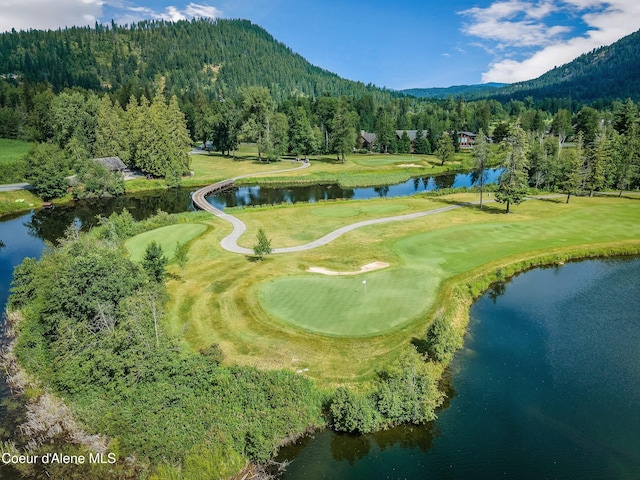 bird's eye view featuring a wooded view and a water and mountain view